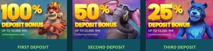 BetJungle Promo Code