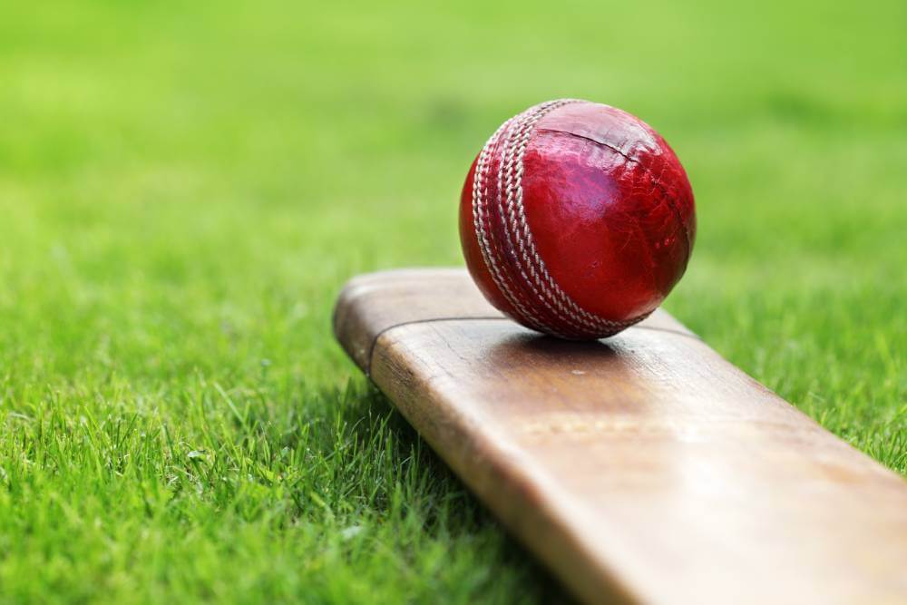 India bet365 Cricket