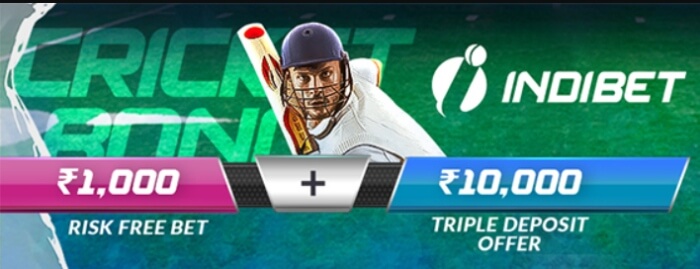 First Time Deposit Cricket INDIBET First Time Deposit Cricket