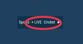 1xBet Cricket Live Betting