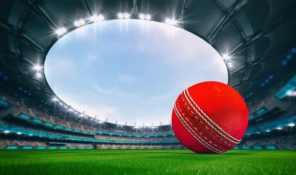 Cricket Ball on the FIeld