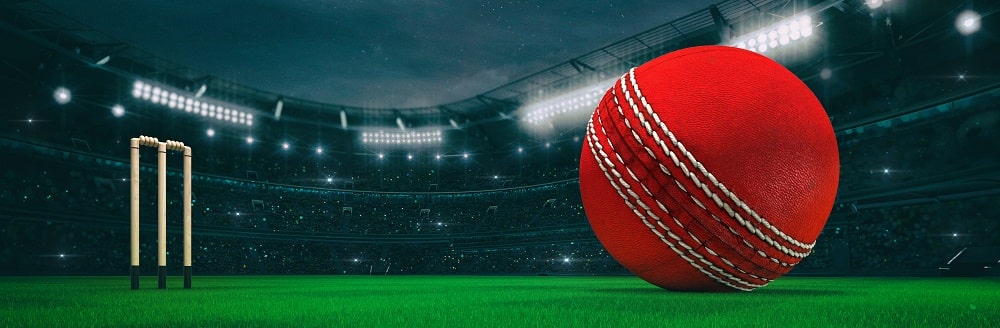 Cricket Ball on the Field