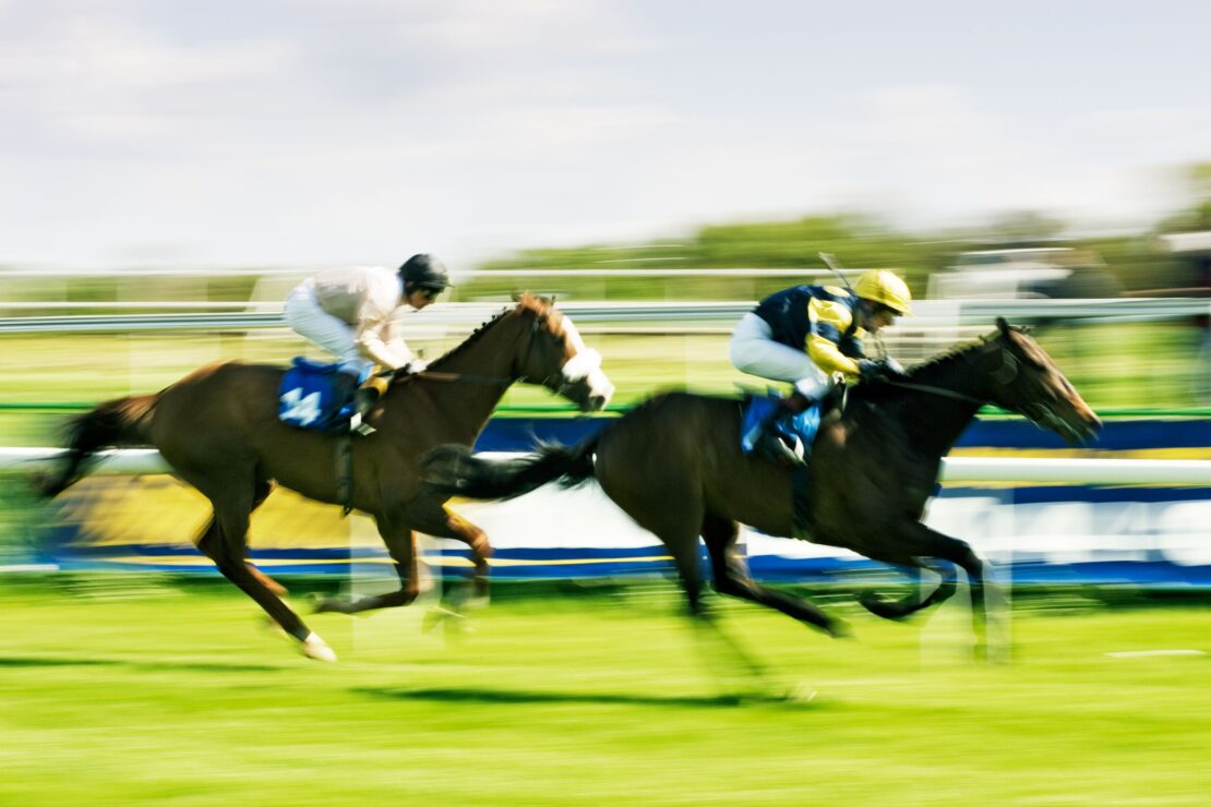 two jockeys engaged in a thoroughbred racing on the horse track